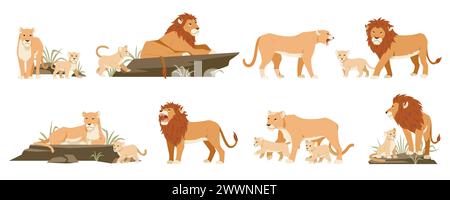 Lions de dessins animés. Lionnes et oursons mignons, animaux sauvages, prédateurs de la jungle de la famille féline dans différentes poses, fierté dans la savane, roi des bêtes, zoo Illustration de Vecteur