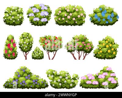 Buissons avec des fleurs. Plantes de jardin à fleurs, différents types, arbustes en fleurs décoratifs verts, beaux éléments de paysage. Extérieur printemps été Illustration de Vecteur