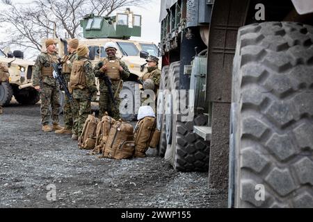 Les Marines des États-Unis avec le combat Logistics Regiment 3, 3rd Marine Logistics Group, se préparent à monter un véhicule de remplacement tactique moyen pendant l'exercice Winter Workhorse 24 sur Combined Arms Training Center Camp Fuji, Japon, le 2 février 2024. Winter Workhorse est un exercice d'entraînement régulier conçu pour améliorer les capacités de combat dans des environnements contestés. Corps des Marines Banque D'Images