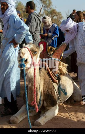 Festival international des nomades M'hamid El Ghizlane , Maroc Banque D'Images