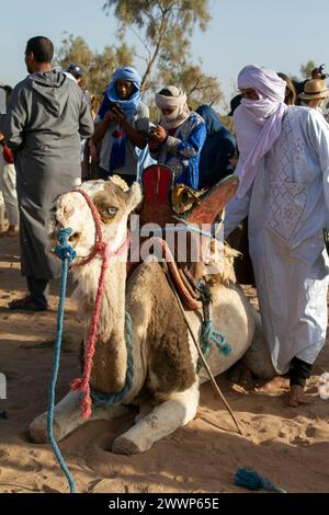 Festival international des nomades M'hamid El Ghizlane , Maroc Banque D'Images