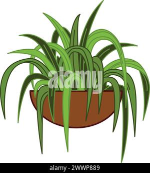 Vecteur de dessin animé d'icône de conteneur exotique de plantes d'intérieur. Végétation des fenêtres. Boîte en pot Illustration de Vecteur