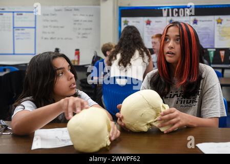 Les élèves de l'Aliamanu Middle School participent à diverses activités lors d'une visite du DPAA à l'Aliamanu Middle School, Honolulu, Hawaii, le 16 février 2024. L'organisme a participé à sa deuxième Journée des carrières du Sommet étudiant afin de dialoguer avec la communauté locale et d'éduquer les élèves sur les opérations d'identification et de rétablissement. Des anthropologues médico-légaux, des archéologues sous-marins et terrestres et des scientifiques en préparation isotopique ont guidé les étudiants à travers des techniques pratiques simulées et des mémoires pour partager davantage sur la mission de l’agence. Armée Banque D'Images