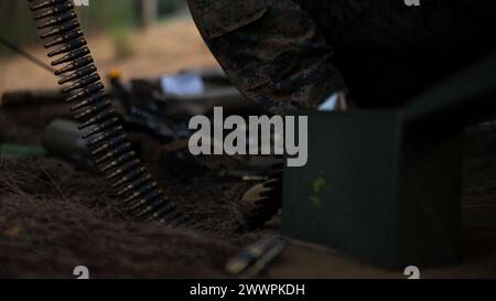 Des munitions blanches sont suspendues à une mitrailleuse M240 lors d'un exercice sur le terrain dans la zone d'entraînement de Kahuku, Hawaï, le 8 février 2024. Au cours de la formation, le 3e bataillon logistique du littoral, le 3e régiment du littoral des Marines, la 3e division des Marines ont mené des opérations logistiques tactiques, soutenant les unités de la 3e MLR tout en étant confrontées à des interférences ennemies théoriques. Corps des Marines Banque D'Images