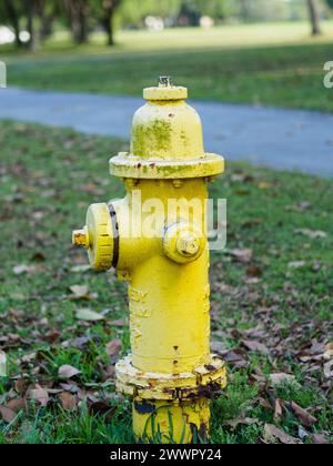 Une bouche d'incendie jaune vintage sur l'herbe près de la route Banque D'Images