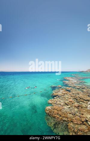 Coraux sous-marins le long de la plage vide sur la station populaire d'Eilat sur la mer Rouge en Israël. Banque D'Images