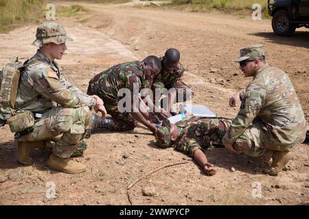 Des militaires des Forces de défense du Kenya et des soldats de l'armée américaine du 921e hôpital de campagne, de la 176e brigade médicale, du 807e commandement médical, une unité de réserve de l'armée américaine, attelle le bras d’un blessé fictif lors d’une répétition d’évacuation médicale lors de l’Accord justifié 2024 (JA24) au Centre de formation aux opérations de lutte contre l’insurrection, le terrorisme et la stabilité à Nanyuki, au Kenya, le 27 février 2024. Le JA24 est le plus grand exercice de l'US Africa Command en Afrique de l'est, qui se déroulera du 26 février au 7 mars. Dirigé par la Force opérationnelle sud-européenne de l'armée américaine, Afrique (SETAF-AF), et accueilli au Kenya, l'exercice de cette année sera i. Banque D'Images