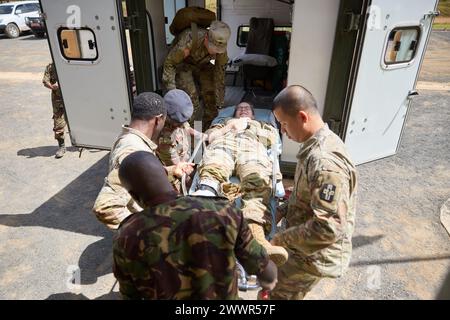 Des militaires des Forces de défense du Kenya et des soldats de l'armée américaine du 921e hôpital de campagne, de la 176e brigade médicale, du 807e commandement médical, une unité de réserve de l'armée américaine, transporter une victime dans une ambulance lors d'une répétition d'évacuation médicale pendant l'Accord justifié 2024 (JA24) au Centre de formation aux opérations de stabilité et de terrorisme contre l'insurrection à Nanyuki, au Kenya, le 27 février 2024. Le JA24 est le plus grand exercice de l'US Africa Command en Afrique de l'est, qui se déroulera du 26 février au 7 mars. Dirigé par la Force opérationnelle sud-européenne de l'armée américaine, Afrique (SETAF-AF), et accueilli au Kenya, l'exercice wi de cette année Banque D'Images