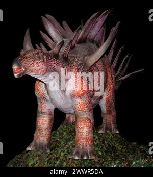 Modèle de Kentrosaurus aethiopicus. C'est un stégosauridé litle vivant à la fin du Jurassique en Tanzanie. Banque D'Images