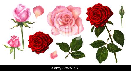 Ensemble aquarelle de feuilles et fleurs roses Banque D'Images