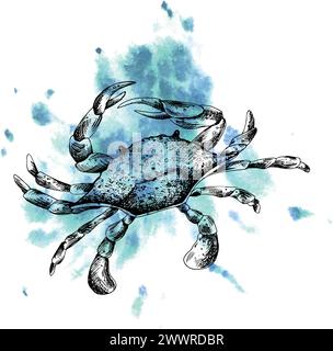 Clipart du monde sous-marin avec des animaux marins, crabe. Illustration graphique dessinée à la main à l'encre noire. Vecteur EPS de composition. Illustration de Vecteur