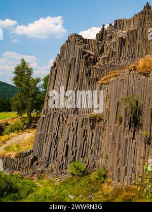 Tuyaux d'orgue de Basalt de Panska skala (République tchèque) Banque D'Images