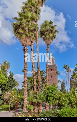 Vue sur la Koutoubia, réplique de la Giralda de Séville, depuis les jardins de Lalla Hasna dans la ville de Marraketch au Maroc Banque D'Images