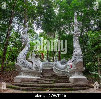 Escaliers Naga dans la belle Wat Luang Khun Win dans la forêt luxuriante, nord de la Thaïlande. Banque D'Images