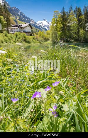 Allgäuer Berg- und Wiesenlandschaft mit einem See. Herrliche Alpenlandschaft im Sommer - unterwegs in den Bergen durch Wälder, Bäche und Wiesen mit Blick auf majestätische Gebirgsformationen. Natur und wunderschöne Landschaften laden zum Wandern ein. Landschaftsfoto. Allgäu Bayern Deutschland *** Allgäu paysage de montagne et de prairie avec un lac magnifique paysage alpin en été sur le chemin dans les montagnes à travers les forêts, les ruisseaux et les prairies avec une vue sur les formations de montagne majestueuses la nature et les beaux paysages vous invitent à la randonnée paysage photo Allgäu Bavière Allemagne Banque D'Images