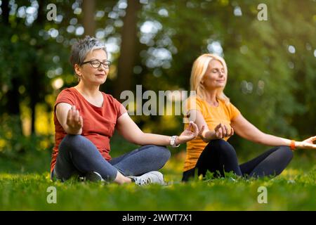 Deux femmes séniles pratiquant la méditation sur des tapis de yoga dans un parc paisible Banque D'Images