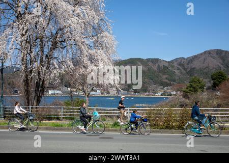 Lac Kawaguchiko à Fujikawaguchiko Japon, mère et père vélo vélo autour du lac dans la région du Mont Fuji cinq lacs, Japon, Asie, 2023 Banque D'Images