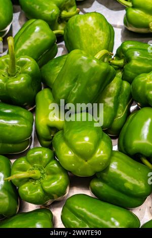 Un groupe de capsicum annuum vert frais. Pas épicé à manger Banque D'Images