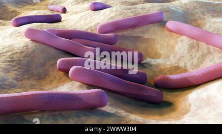 3d rendu de Mycobacterium tuberculosis, également connu sous le nom de bacille de Koch, est une bactérie pathogène qui cause la tuberculose (TB) Banque D'Images