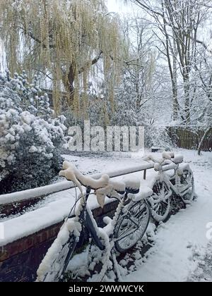 arrière-cour en hiver, neige Banque D'Images