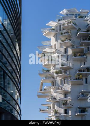 Vue verticale de l'architecture moderne de l'immeuble de l'arbre Blanc avec reflet dans les fenêtres de la bibliothèque universitaire Richter Banque D'Images