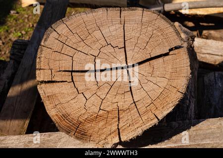 texture, section transversale du tronc d'arbre où vous pouvez voir les anneaux de croissance, et les fissures du séchage Banque D'Images