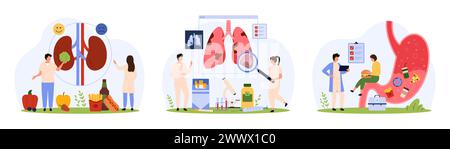 Diagnostic des maladies chroniques des organes internes par les médecins SET. Les personnes minuscules vérifient les reins du patient pour les calculs, étudient l'inflammation dans les poumons et l'illustration vectorielle de dessin animé de problème d'estomac humain Illustration de Vecteur