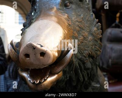 Un détail de la main touchant bonne chance statue de cochon de cuivre dans Florence rite de fortune vous devez frotter une pièce sur le nez de sanglier et puis le laisser tomber int Banque D'Images