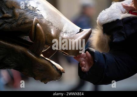 Un détail de la main touchant bonne chance statue de cochon de cuivre dans Florence rite de fortune vous devez frotter une pièce sur le nez de sanglier et puis le laisser tomber int Banque D'Images