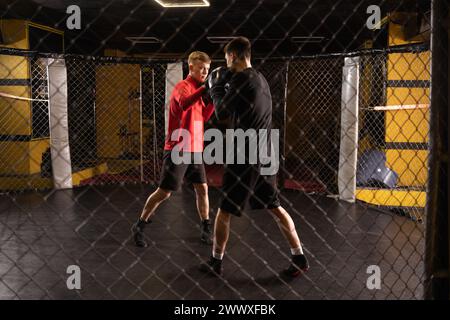 Deux jeunes boxeurs professionnels dans la cage de gymnastique. Banque D'Images