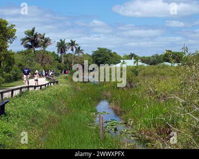 Everglades National Park, Floride, États-Unis - 4 mai 2013 : visiteurs sur le sentier Anhinga dans le Royal Palm Visitor Center. Banque D'Images