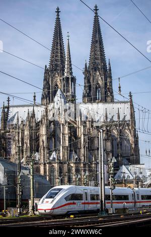 Train à grande vitesse ICE 4 arrivant à la gare centrale, la cathédrale, Cologne, Allemagne Hochgeschwindigkeitszug ICE 4 BEI der Einfahrt in den Hauptbahnhof Banque D'Images