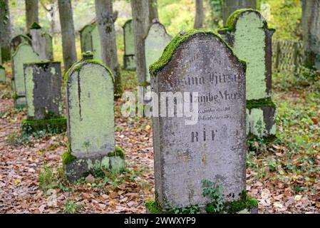 Cimetière juif, pierres tombales altérées, village viticole Beilstein, Moselle, Rhénanie-Palatinat, Allemagne Banque D'Images