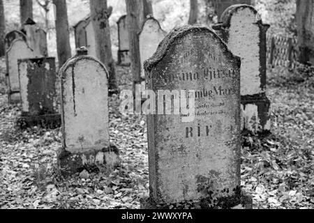 Cimetière juif, pierres tombales altérées, noir et blanc, village viticole Beilstein, Moselle, Rhénanie-Palatinat, Allemagne Banque D'Images