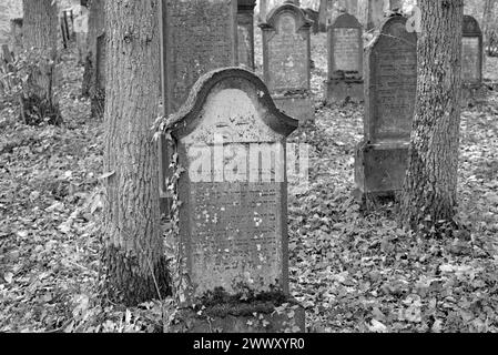 Cimetière juif, pierres tombales altérées, noir et blanc, village viticole Beilstein, Moselle, Rhénanie-Palatinat, Allemagne Banque D'Images