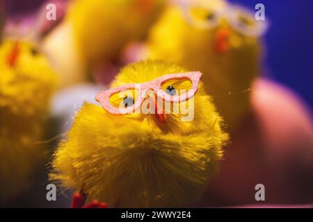 Élégants poulets de Pâques jaunes joyeux dans des lunettes de soleil roses célébrant la joie des vacances de Pâques. Bricolage fabrique des décorations saisonnières pour les festivités printanières. Banque D'Images