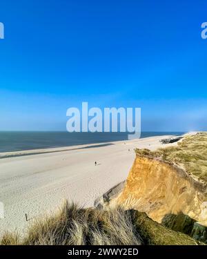 Die Nordseeinsel Sylt im März 26.03.24: Die nördlichste Insel Deutschlands mit Meer, Dünen, Sand und Strand Sylt Schleswig Holstein Deutschland *** L'île de Sylt en mer du Nord en mars 26 03 24 L'île la plus septentrionale d'Allemagne avec mer, dunes, sable et plage Sylt Schleswig Holstein Allemagne Foto 09.03.24, 14 40 08 Banque D'Images