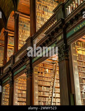De magnifiques boiseries de chêne de l'intérieur de la bibliothèque de Trinity College à Dublin en Irlande Banque D'Images