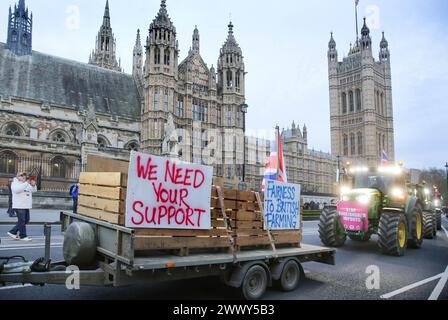 Londres, Royaume-Uni. 25 mars 2024. Les tracteurs et les remorques arborent des pancartes lorsqu'ils passent devant le Parlement pendant la manifestation. (Crédit image : © Martin Pope/SOPA images via ZUMA Press Wire) USAGE ÉDITORIAL SEULEMENT! Non destiné à UN USAGE commercial ! Banque D'Images