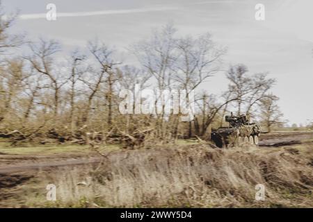Panzer Pandur II faehrt durch einen Wald im Rahmen der Militaeruebung Wettiner Schwert mit deutschen und tschechischen Soldaten BEI Tangermuende, 26,0 Banque D'Images