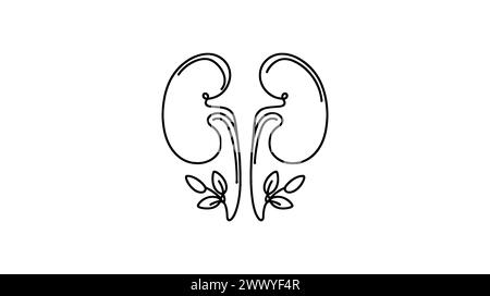 Reins humains avec uretères d'une ligne allongée Dessin de ligne continue de l'homme, interne, organes, reins, uretères, système excréteur. Illustration de Vecteur