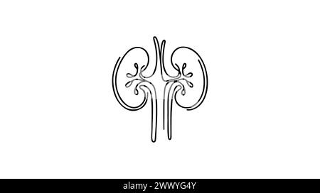 Reins humains avec uretères d'une ligne allongée Dessin de ligne continue de l'homme, interne, organes, reins, uretères, système excréteur. Illustration de Vecteur
