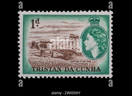 Timbre-poste vintage de Tristan da Cunha vers 1956. La reine Elizabeth II Oeuvre d'art montrant l'élevage du lin avec bétail et charrette. Banque D'Images