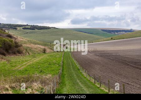 Regardant le long d'un sentier longeant des terres agricoles, dans le Sussex rural Banque D'Images