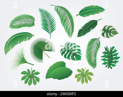 Ensemble de feuilles tropicales isolé, adapté au concept nature, été et vacances, illustration vectorielle Illustration de Vecteur