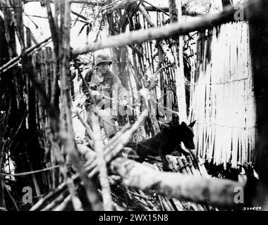 Photos de la seconde Guerre mondiale : un soldat avec un chien scout en laisse CA. 1944 Banque D'Images