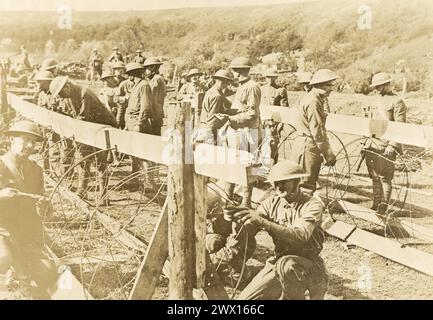 Compagnie 'E' 314e ingénieurs. 89e Division sur les mesures défensives, faisant rouler des enchevêtrements de fils barbelés, France CA. 1914-1918 Banque D'Images