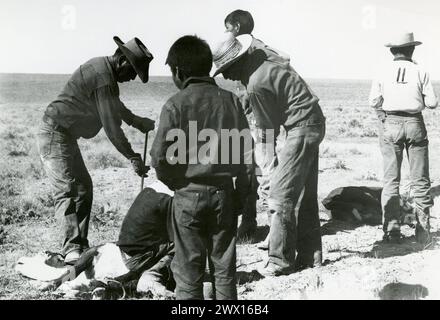 Les cow-boys amérindiens qui marquent le bétail dans un ranch du Wyoming CA. années 1940 Banque D'Images