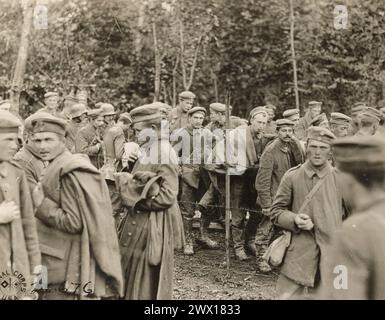 Un groupe de prisonniers de guerre allemands capturés par la 125e infanterie le 9 octobre 1918. Environ 1000 ont été capturés ce jour-là. Lieu : bois d'Argonne près de Montfaucon, Meuse, France. Banque D'Images