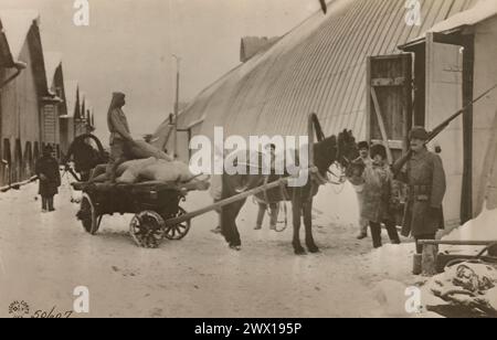 AVEC LES AMÉRICAINS DANS LE NORD DE LA RUSSIE. Le gardien à la porte de cet entrepôt de vivres pour les troupes alliées qui font campagne au sud d'Archange est américain. Le teamster russe décharge des sacs de flocons d'avoine env. 1918 ou 1919 Banque D'Images